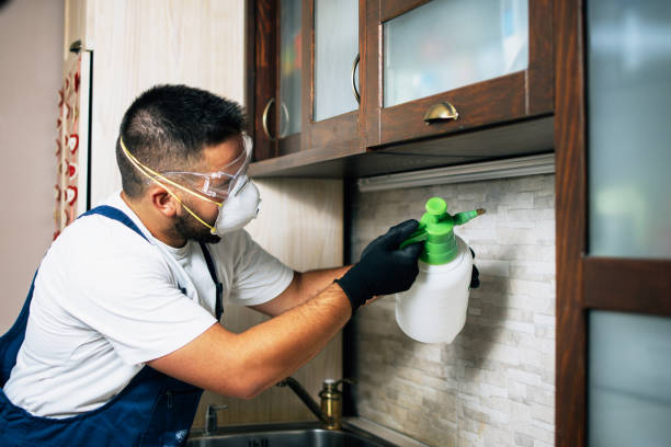 Best Affordable Pest Control Services  in Calico Rock, AR