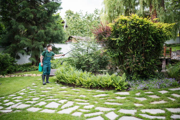 Best Best Pest Control Companies  in Calico Rock, AR