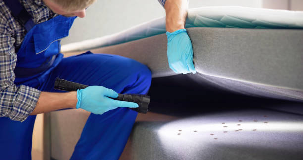 Best Cockroach Control Services  in Calico Rock, AR