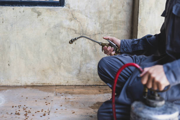Best Pest Control for Businesses  in Calico Rock, AR